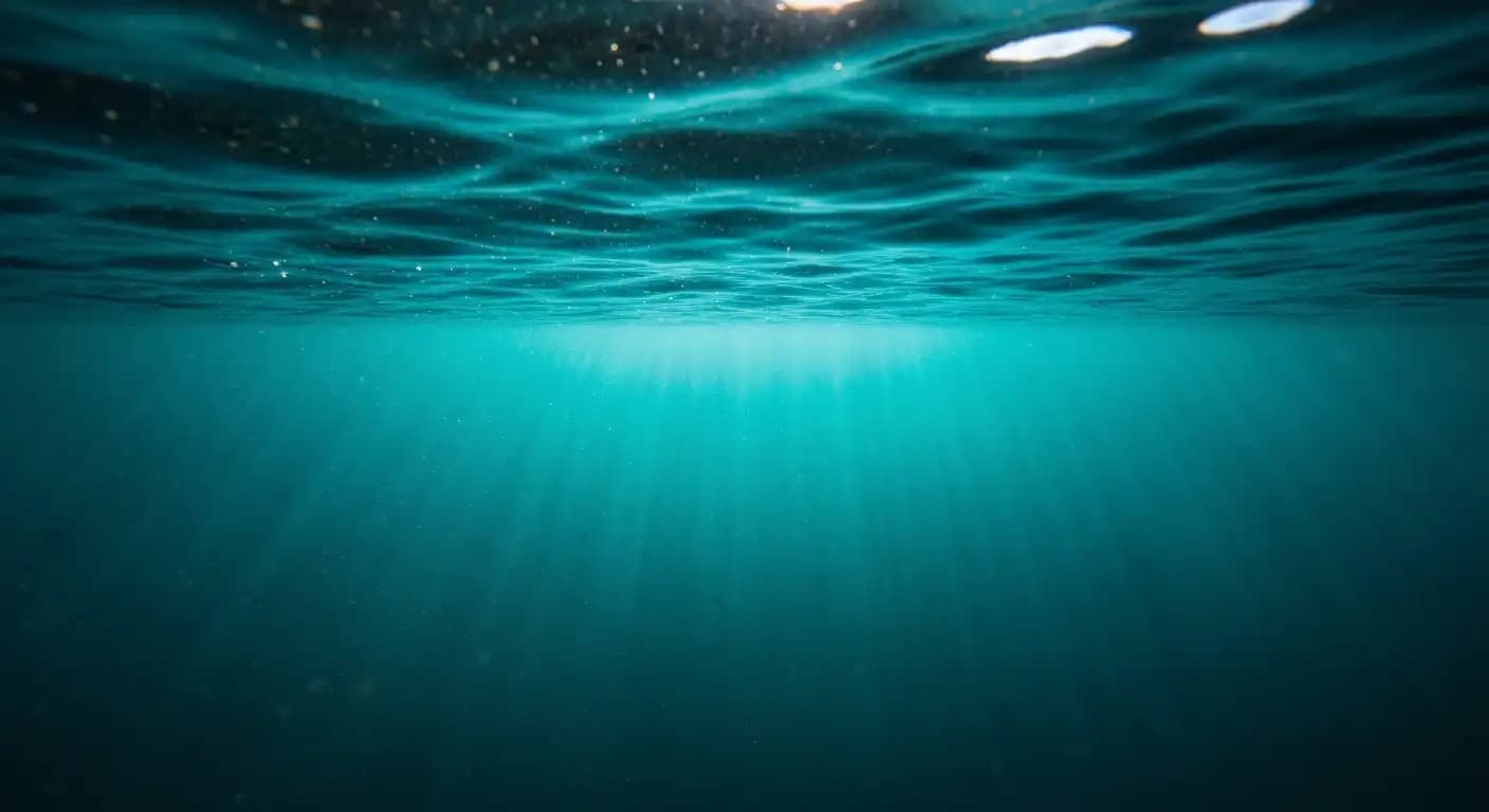 L'assombrissement des océans : définition