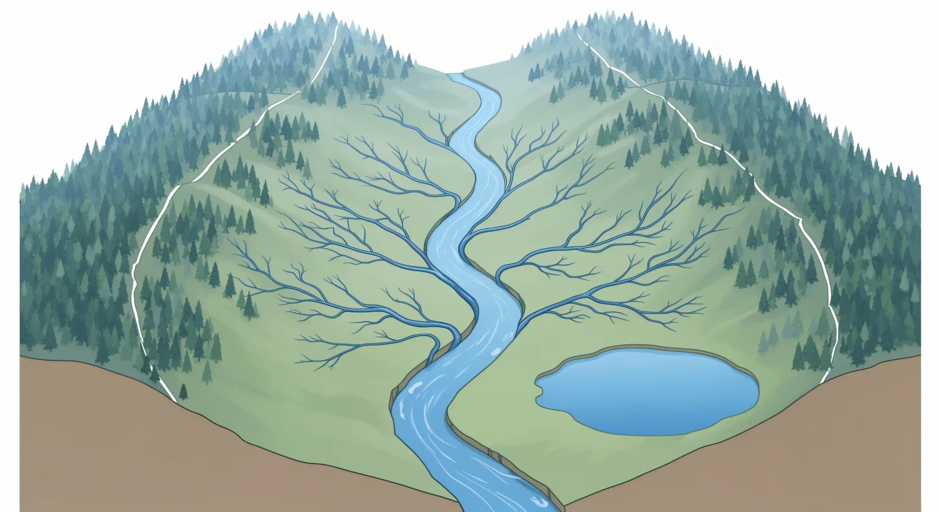 Bassin versant : la ligne de partage des eaux