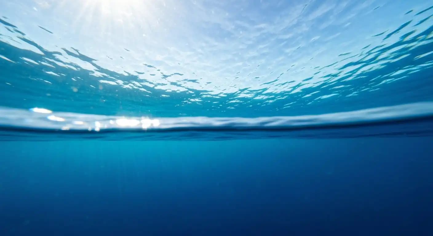 Thermohaline : le tapis roulant océanique