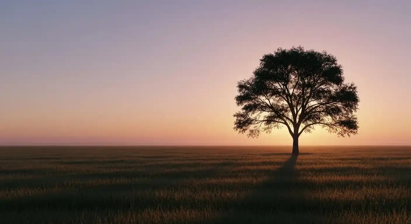 Déforestation Amazonie : chiffres, causes, conséquences