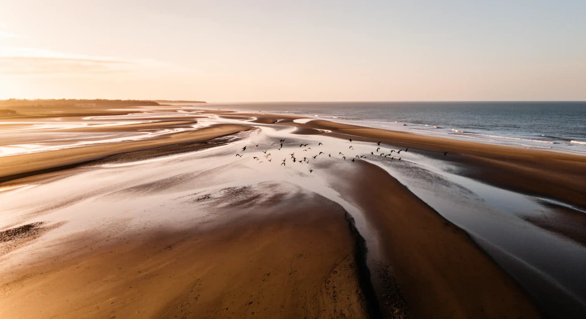 Estuaire : la nurserie née de la rencontre des eaux