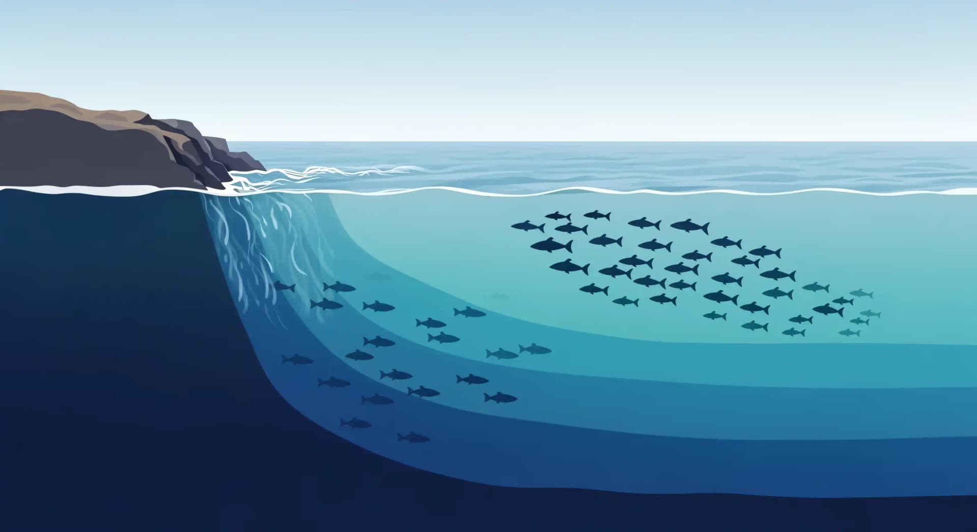Upwelling : la remontée d'eaux froides qui nourrit l'océan